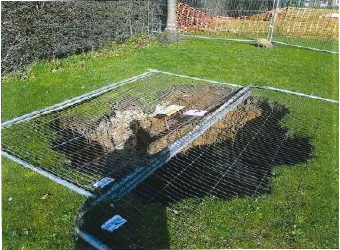 Figure 1: The mouth of the sinkhole, approximately 2.5m in diameter