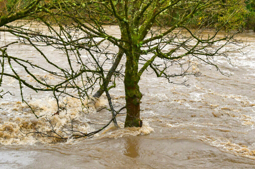 Storm Bert unleashed torrential rainfall across the UK, forcing rivers like this one in South Wales to burst their banks and spill into surrounding communities