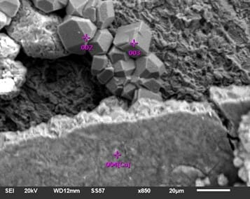 Inner surface of the copper pipe showing the protective layer, area of copper pipe without the protective layer and chlorine-containing particles as indicated.