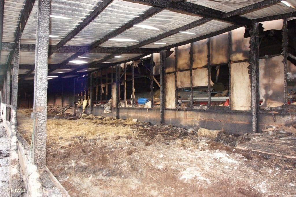 A fire-damaged chicken barn after a calcium oxide fire