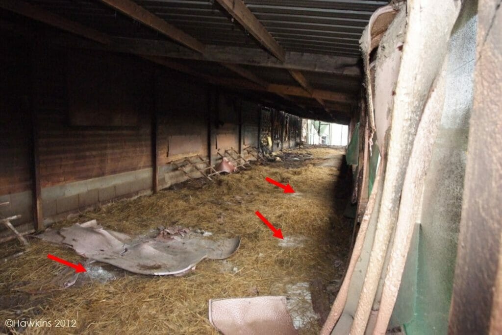 A fire-damaged chicken barn with arrows pointing to where the calcium oxide was placed on the floor