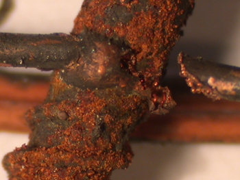 Conductor severed, with beading and it is welded to a zinc plated steel cable fixing screw.