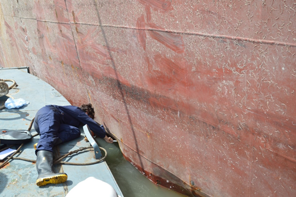 Inspecting the hull of a vessel, which was damaged