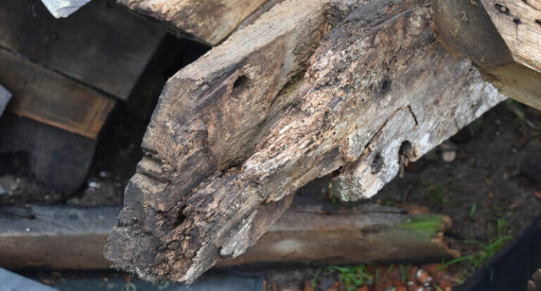 Rotted end of timber roof truss