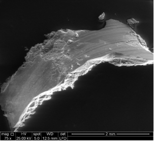 Layered deposit recovered from the fuel nozzle. Secondary electron image