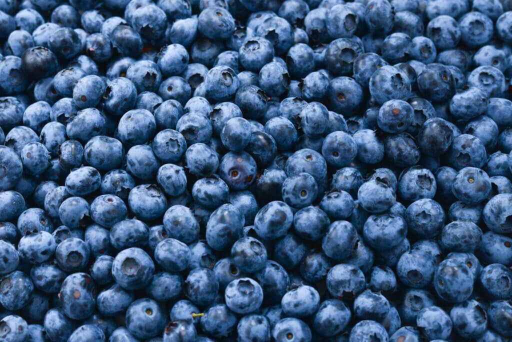Fresh blueberries