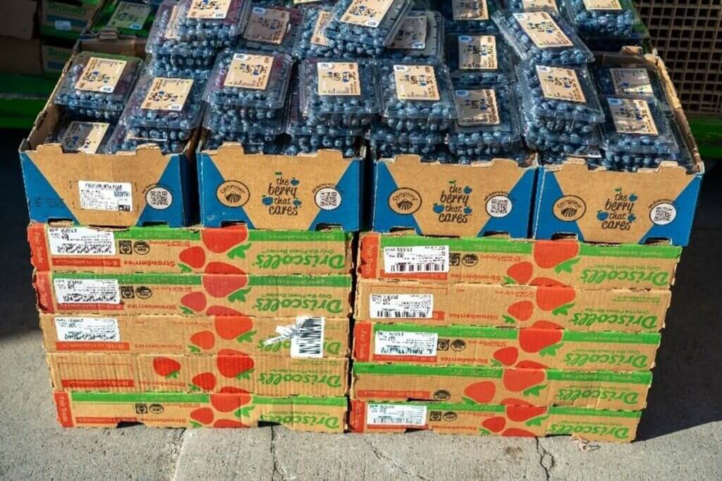 Stacked punnets of blueberries