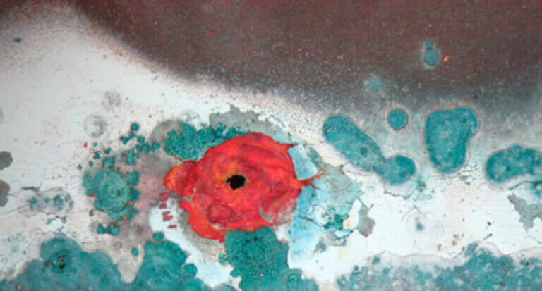 Extreme close up on a contamination investigation