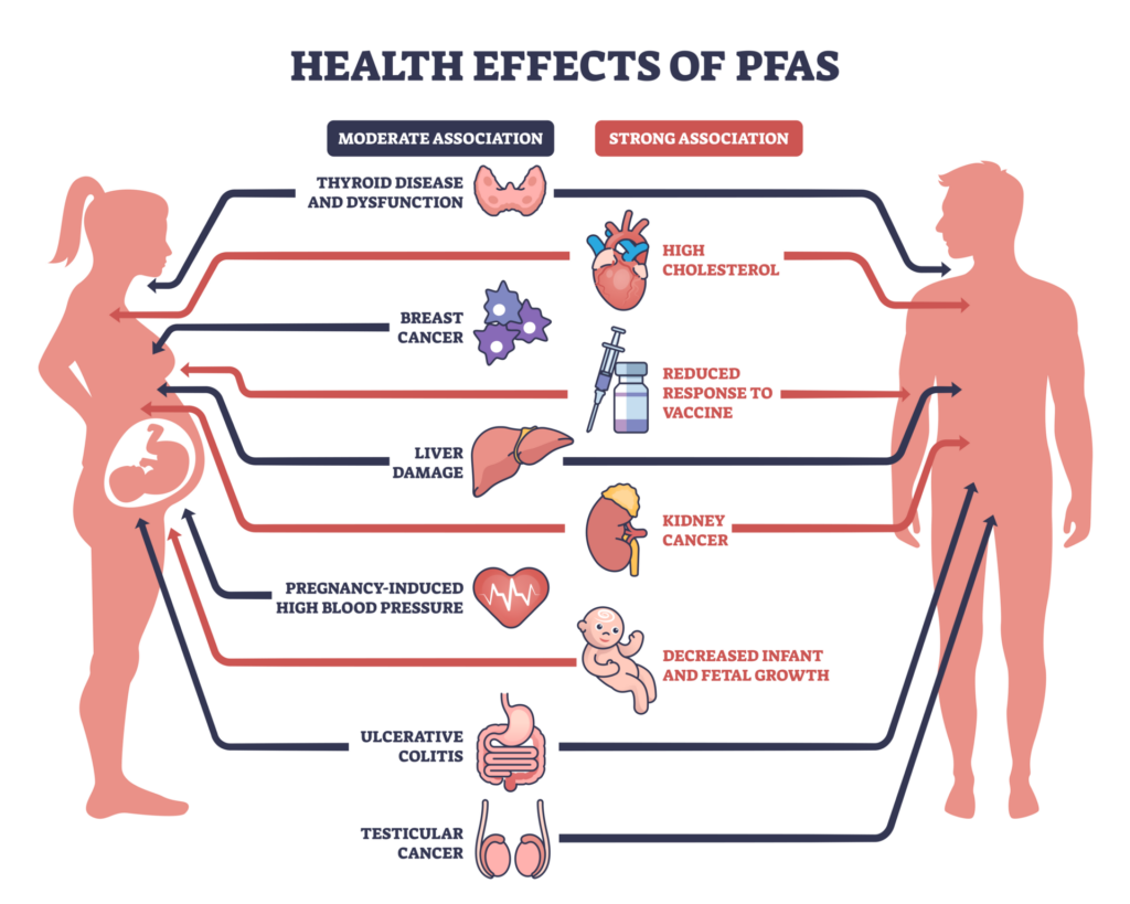 There is mounting evidence linking PFAS to several adverse health effects.
